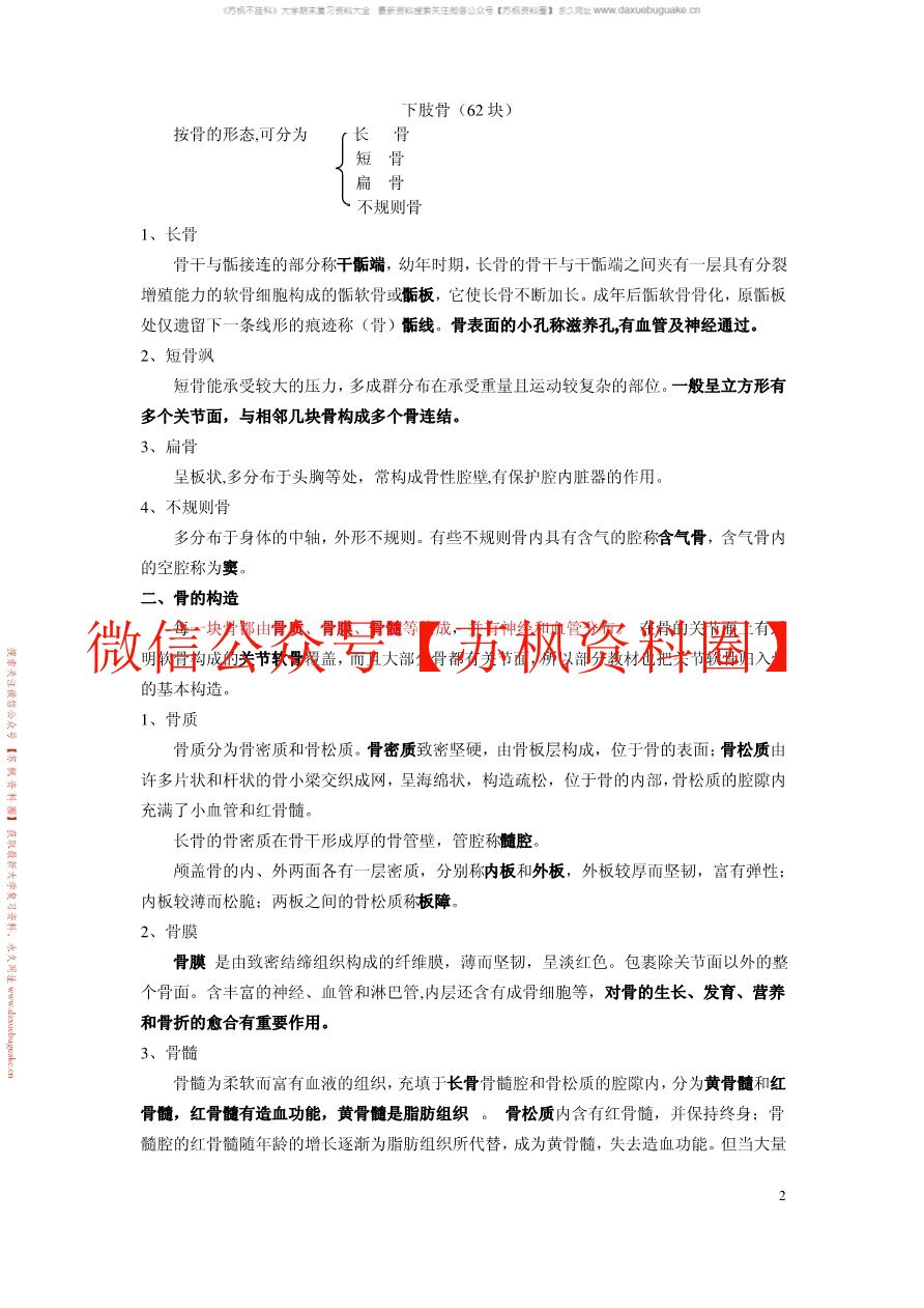 人体形态学